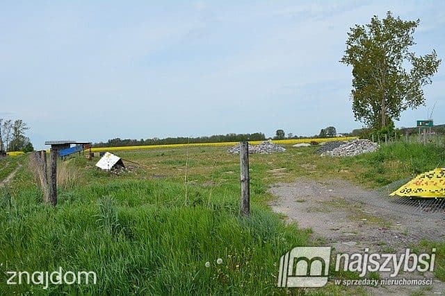 Działka, Pyrzyce - zdjęcie 10