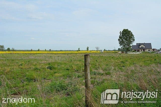 Działka, Pyrzyce - zdjęcie 3