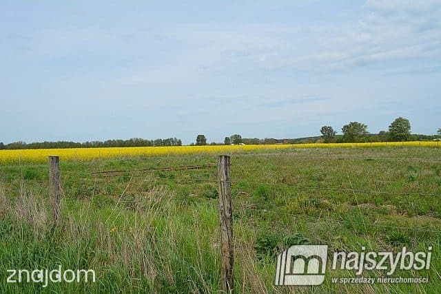 Działka, Pyrzyce - zdjęcie 4
