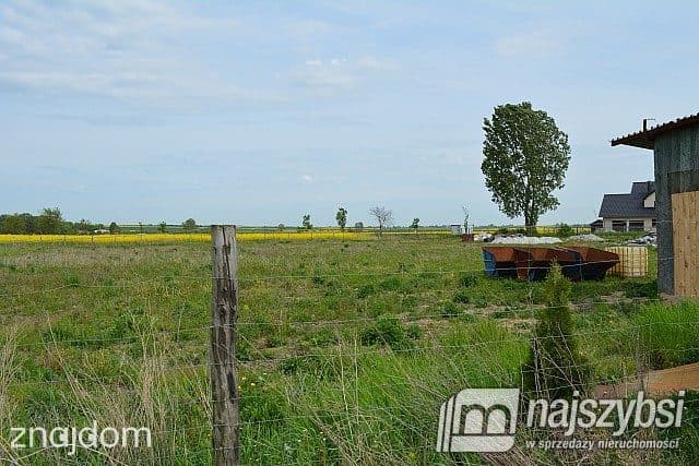 Działka, Pyrzyce - zdjęcie 7