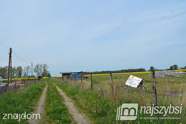Działka, Pyrzyce - zdjęcie 8
