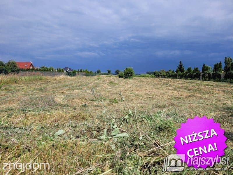 Działka, Lubczyna - zdjęcie 10