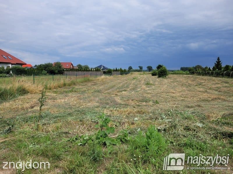Działka, Lubczyna - zdjęcie 5