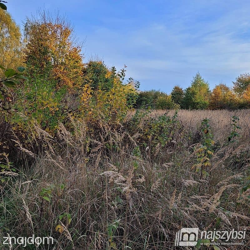 Działka, Nowogard - zdjęcie 16