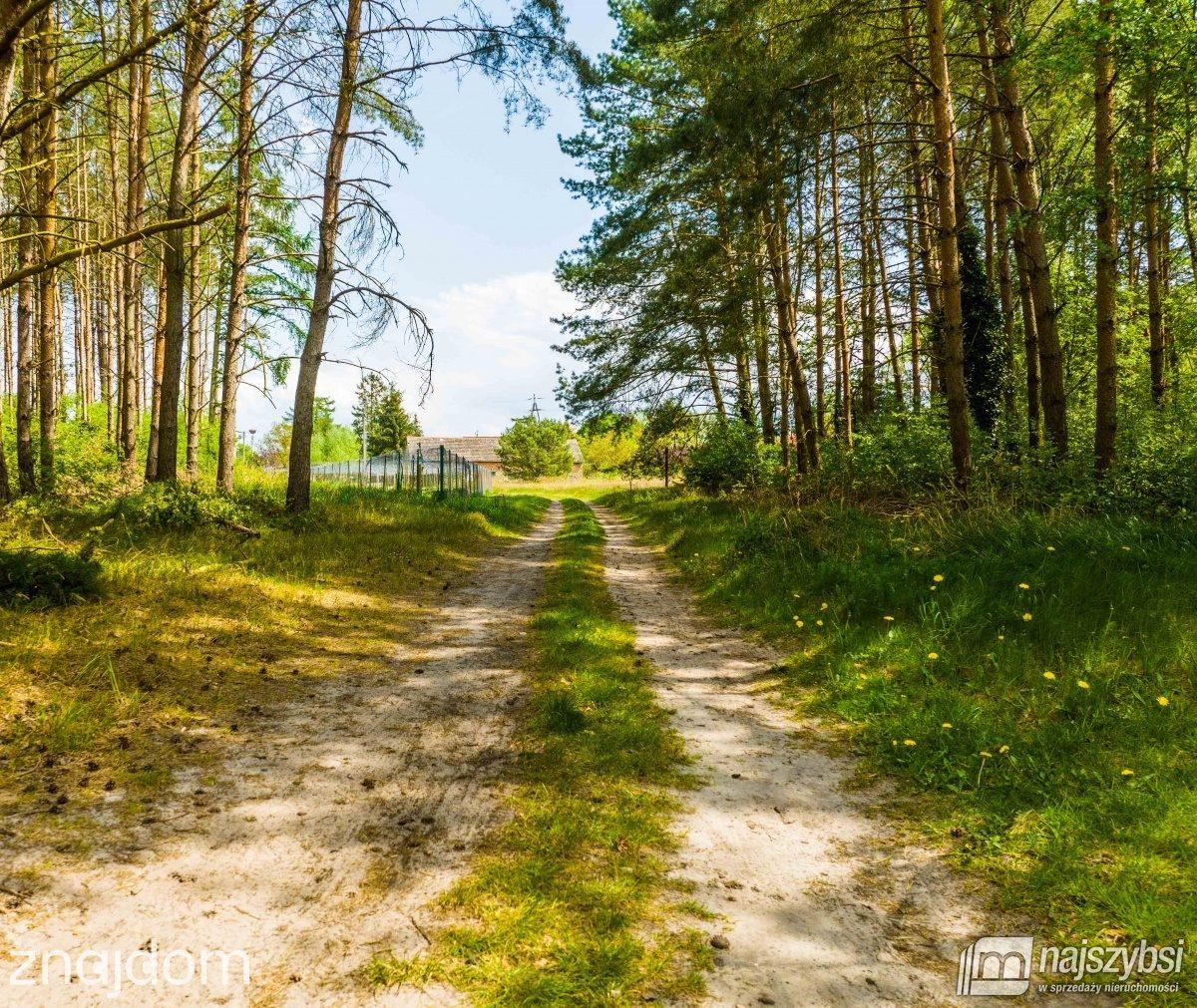 Działka, ZABIERZEWO - zdjęcie 13