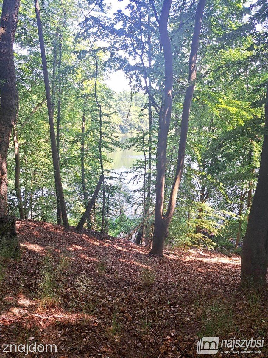 Działka, Tucze - zdjęcie 3