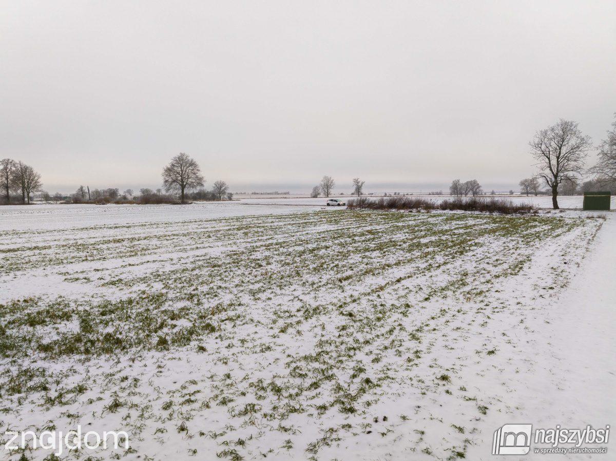 Działka, Warnice - zdjęcie 8