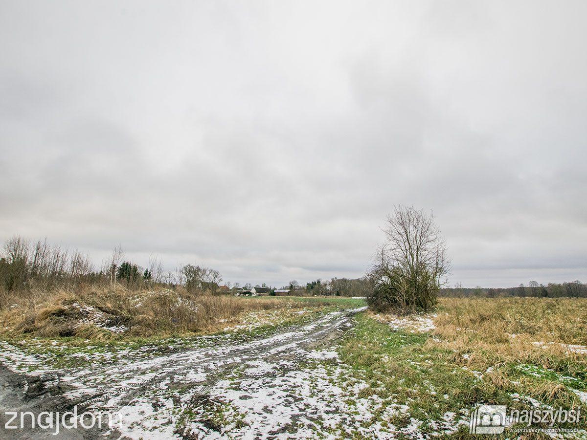 Działka, GOLCZEWO - zdjęcie 9