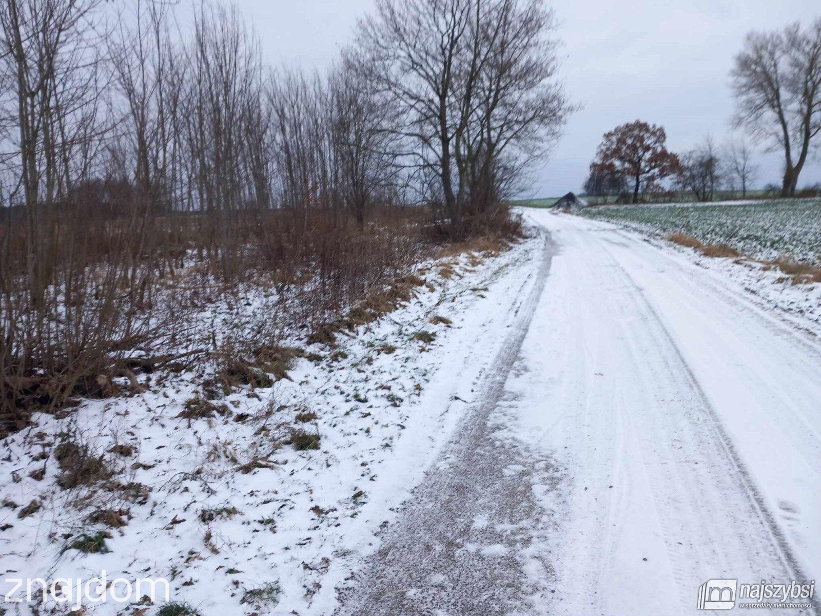 Działka, GOLCZEWO
