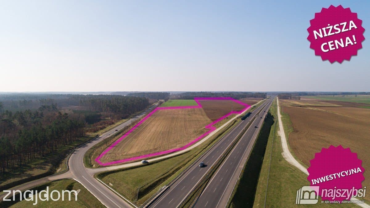 Działka, Kikorze