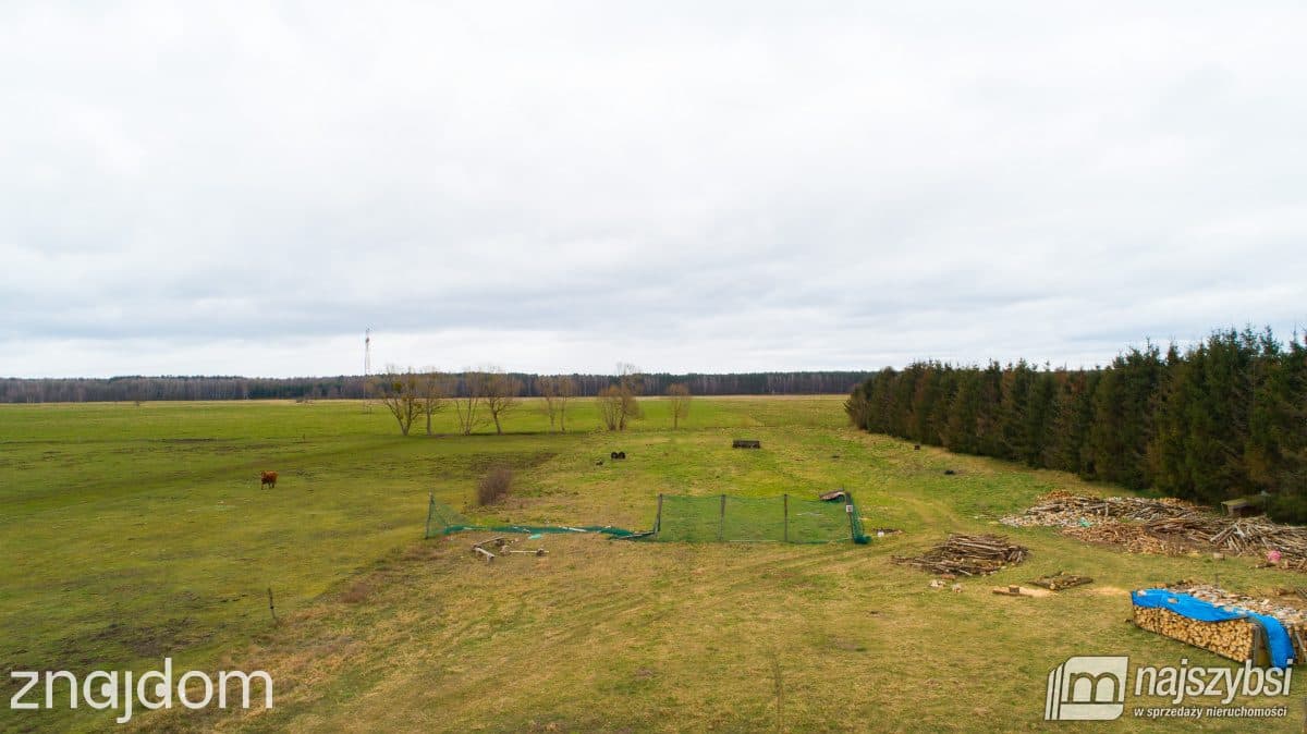 Działka, Żdżary - zdjęcie 3
