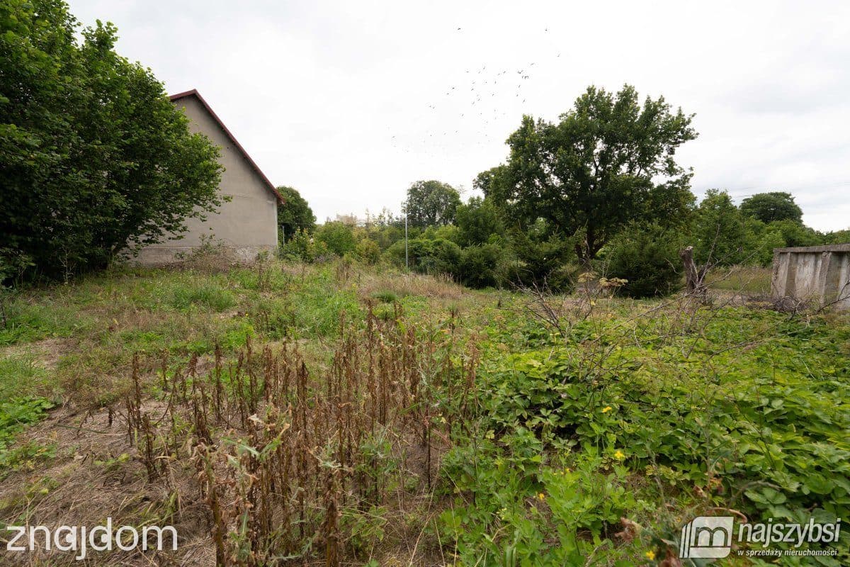 Dom, IŃSKO - zdjęcie 11