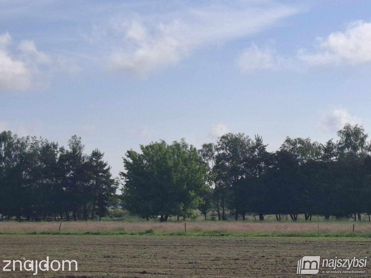 Działka, Nowogard - zdjęcie 14