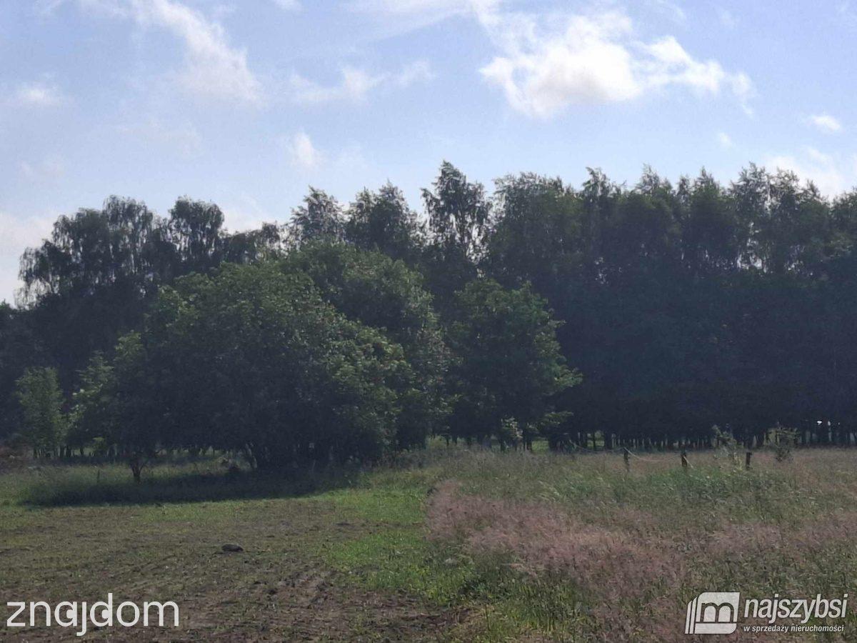 Działka, Nowogard - zdjęcie 18