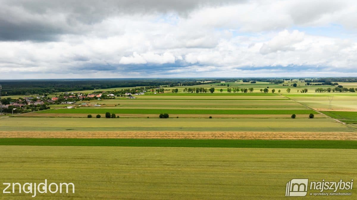 Działka, Przemocze - zdjęcie 11