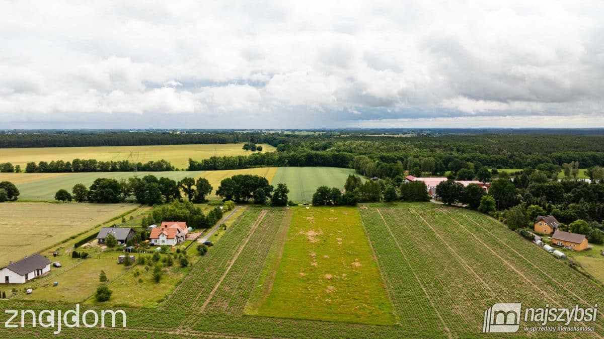 Działka, Przemocze - zdjęcie 4