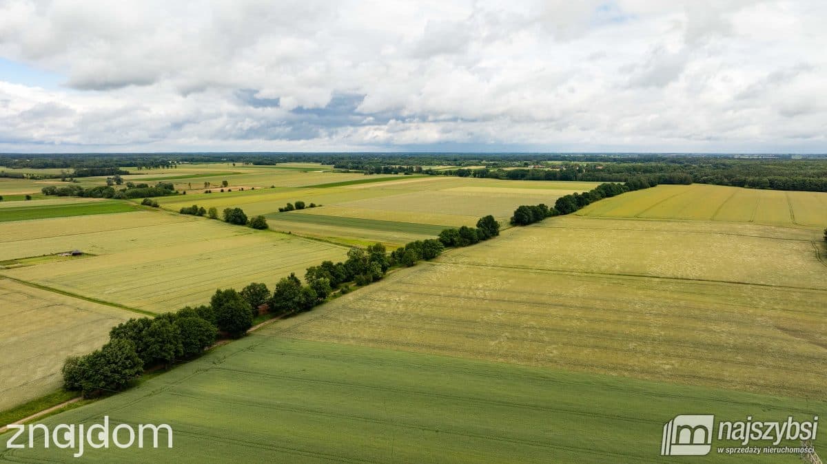 Działka, Przemocze - zdjęcie 8