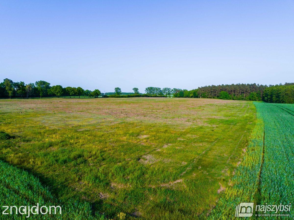 Działka, Olchowo - zdjęcie 18