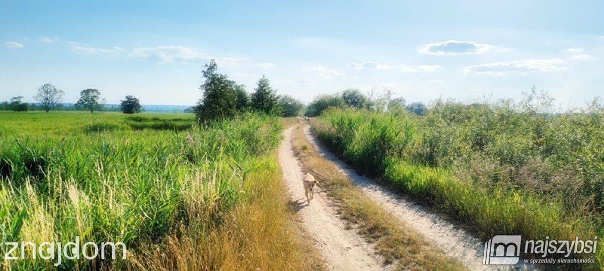 Działka, Komarowo - zdjęcie 19