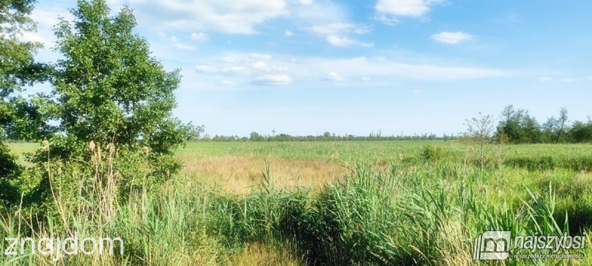 Działka, Komarowo - zdjęcie 20