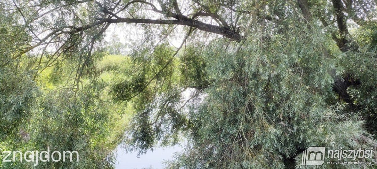 Działka, Komarowo - zdjęcie 23