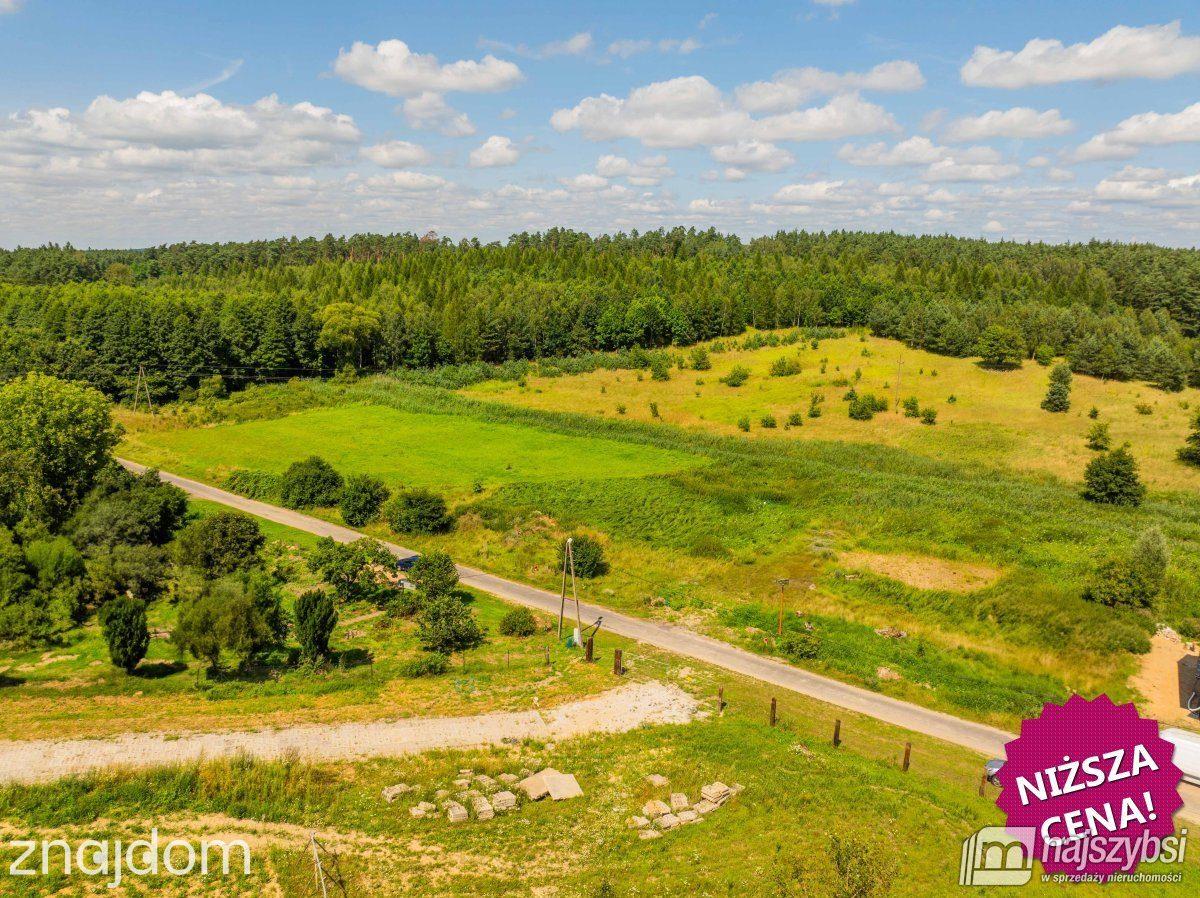 Działka, Chojna