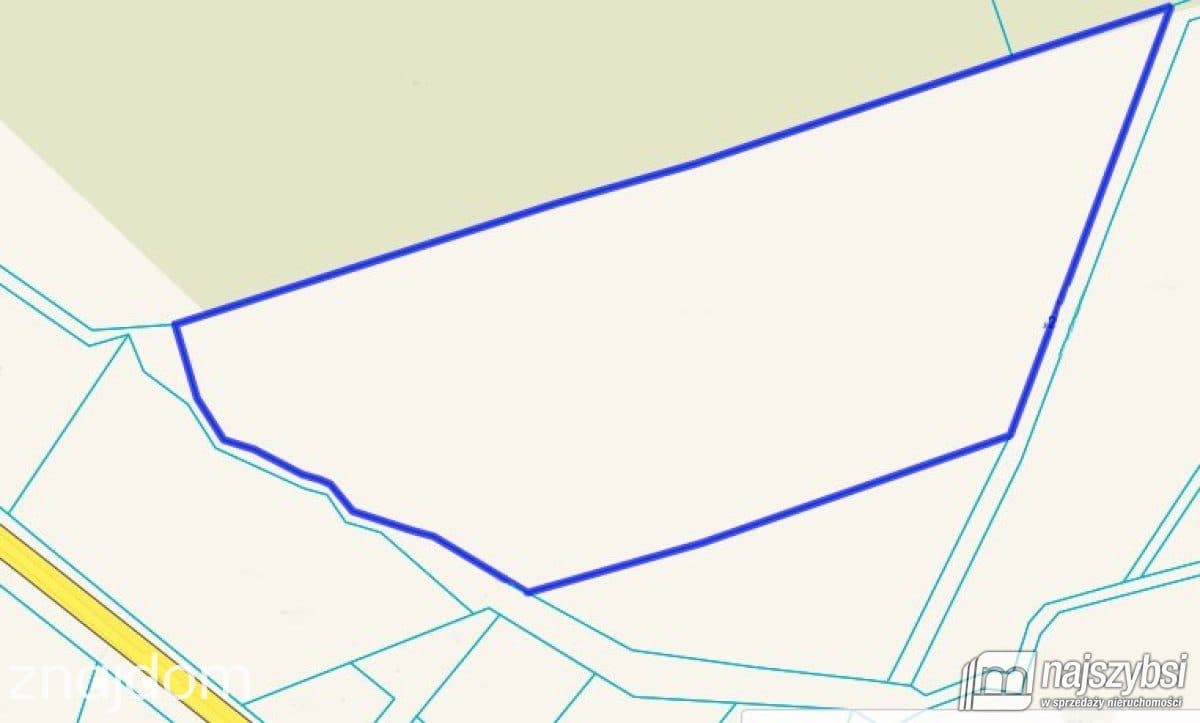 Działka, Chojna - zdjęcie 13