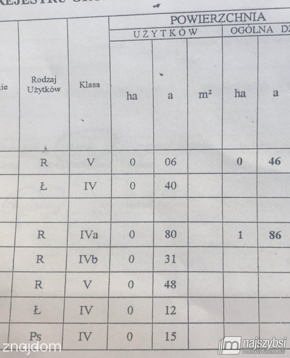 Działka, Chojna - zdjęcie 15
