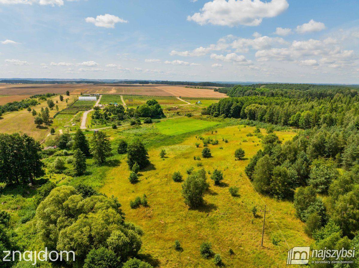Działka, Chojna - zdjęcie 2