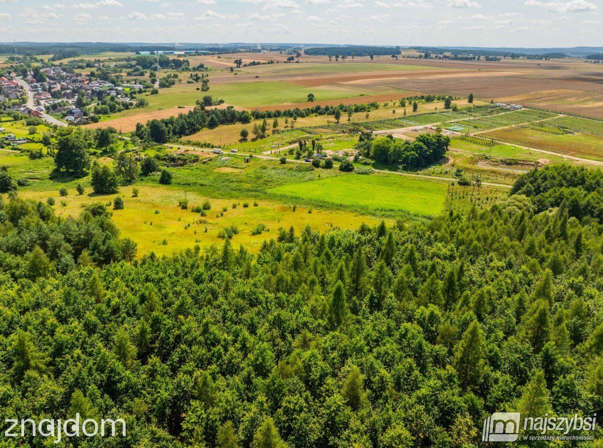 Działka, Chojna - zdjęcie 4