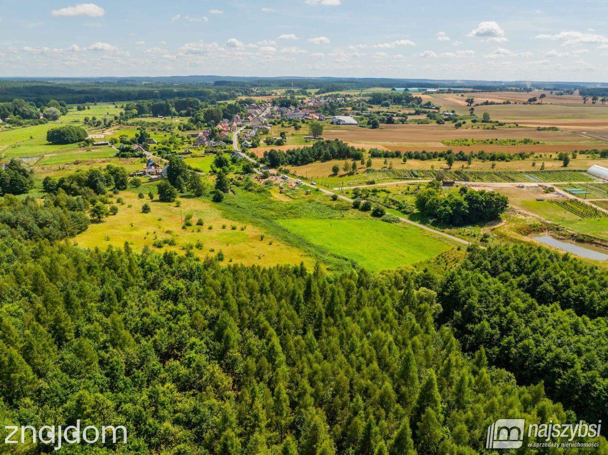 Działka, Chojna - zdjęcie 5