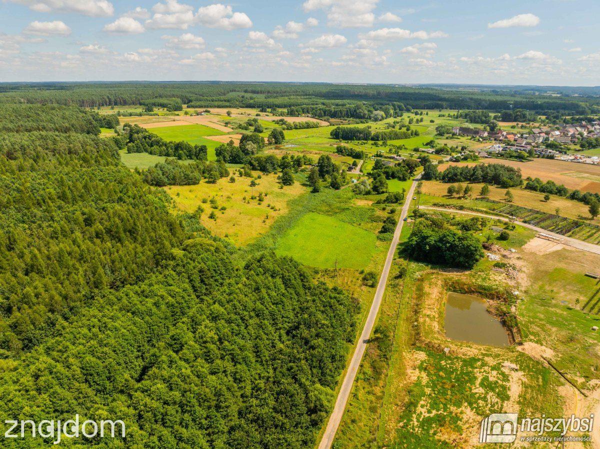 Działka, Chojna - zdjęcie 7