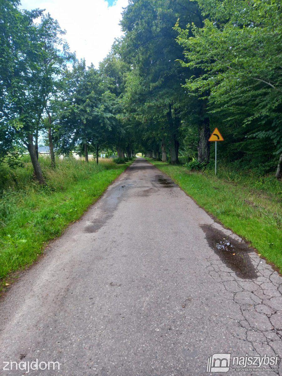 Działka, Dargocice - zdjęcie 19