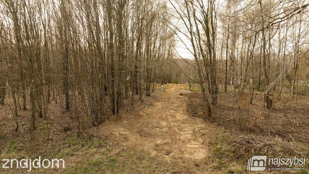 Działka, Dargocice - zdjęcie 21