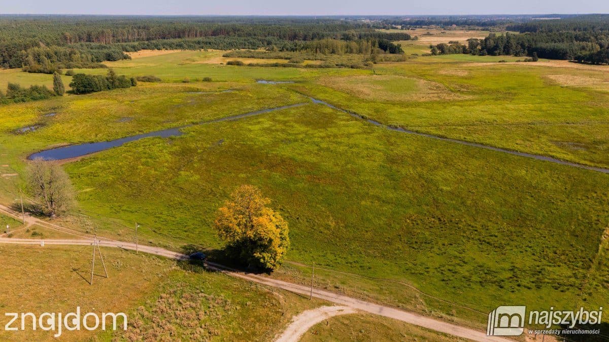 Dom, Miodowice - zdjęcie 14