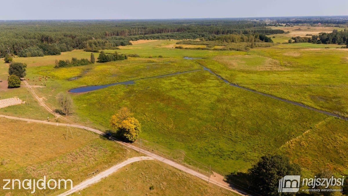 Dom, Miodowice - zdjęcie 15