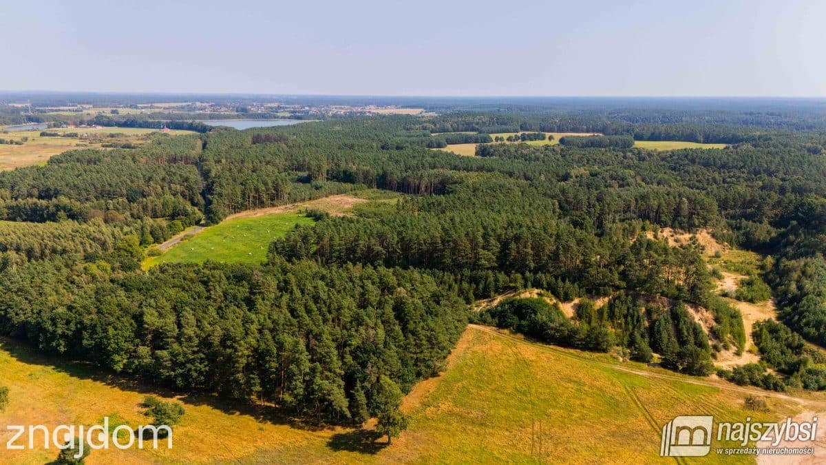 Dom, Miodowice - zdjęcie 19