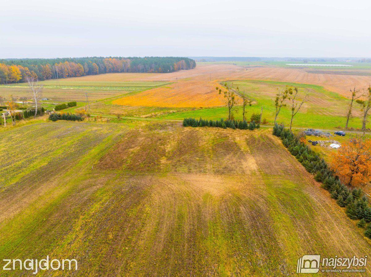 Działka, Węgorza - zdjęcie 10