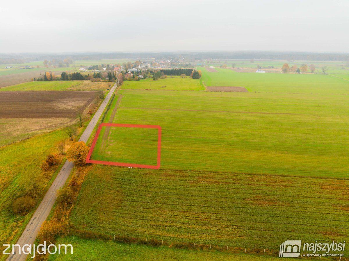 Działka, Węgorza