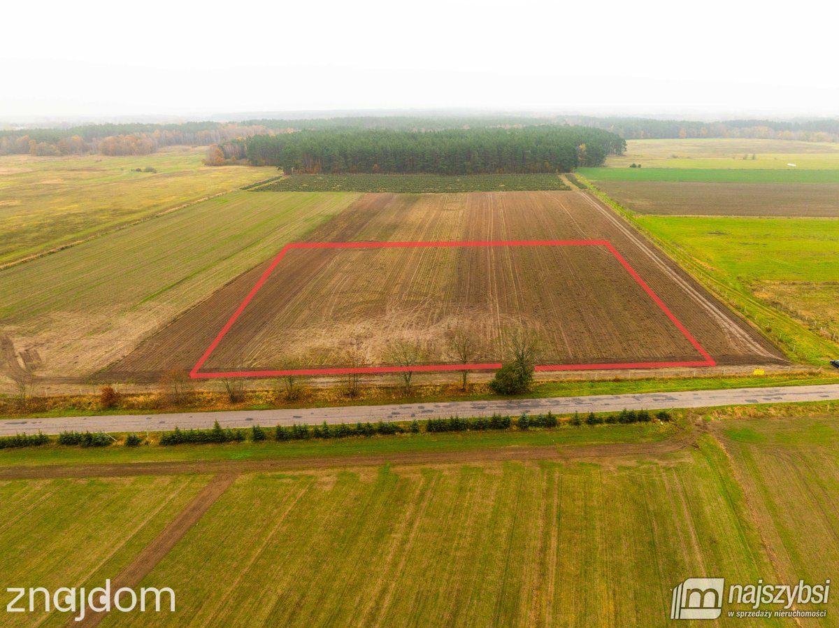 Działka, Węgorza