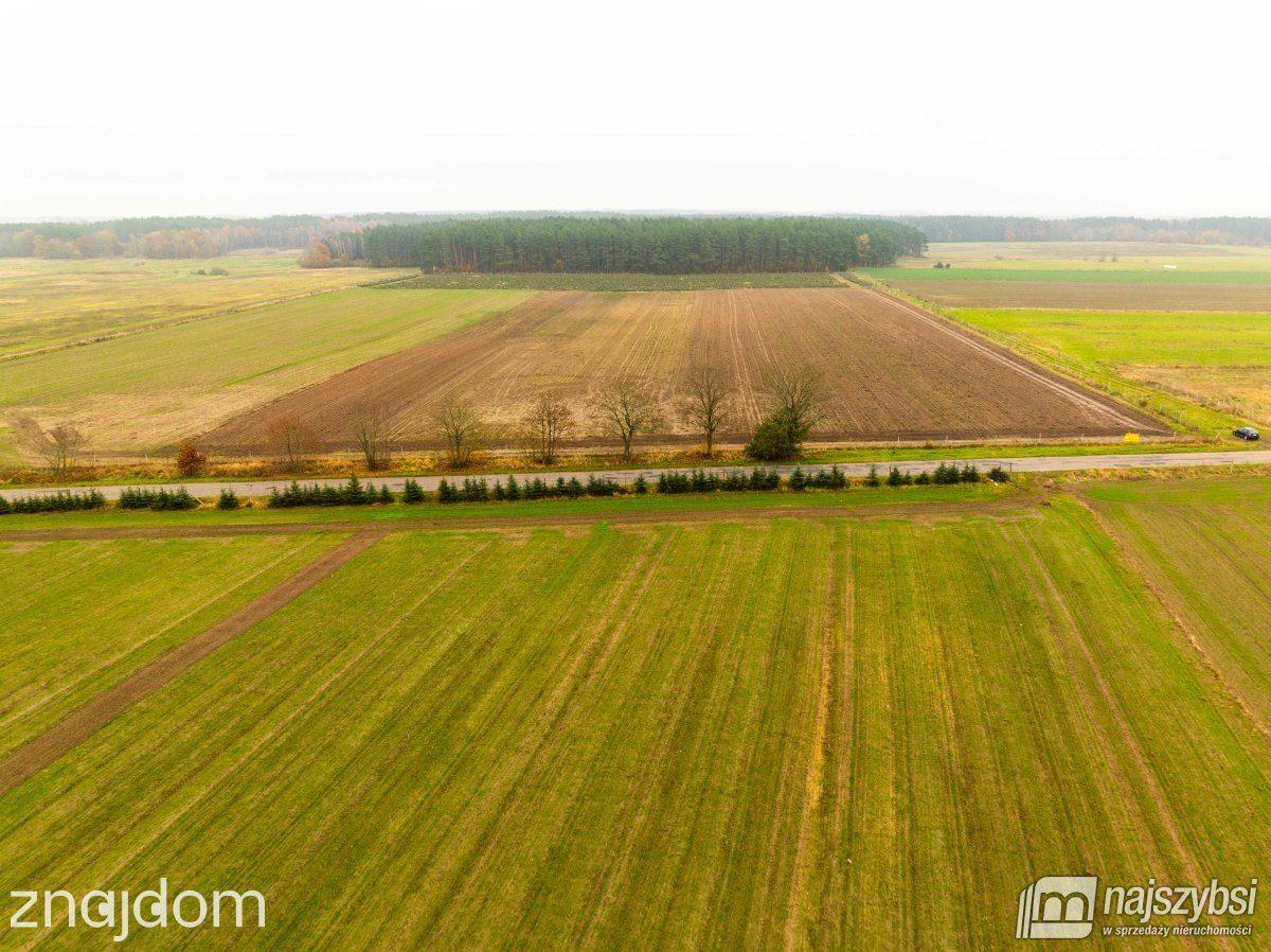 Działka, Węgorza - zdjęcie 9