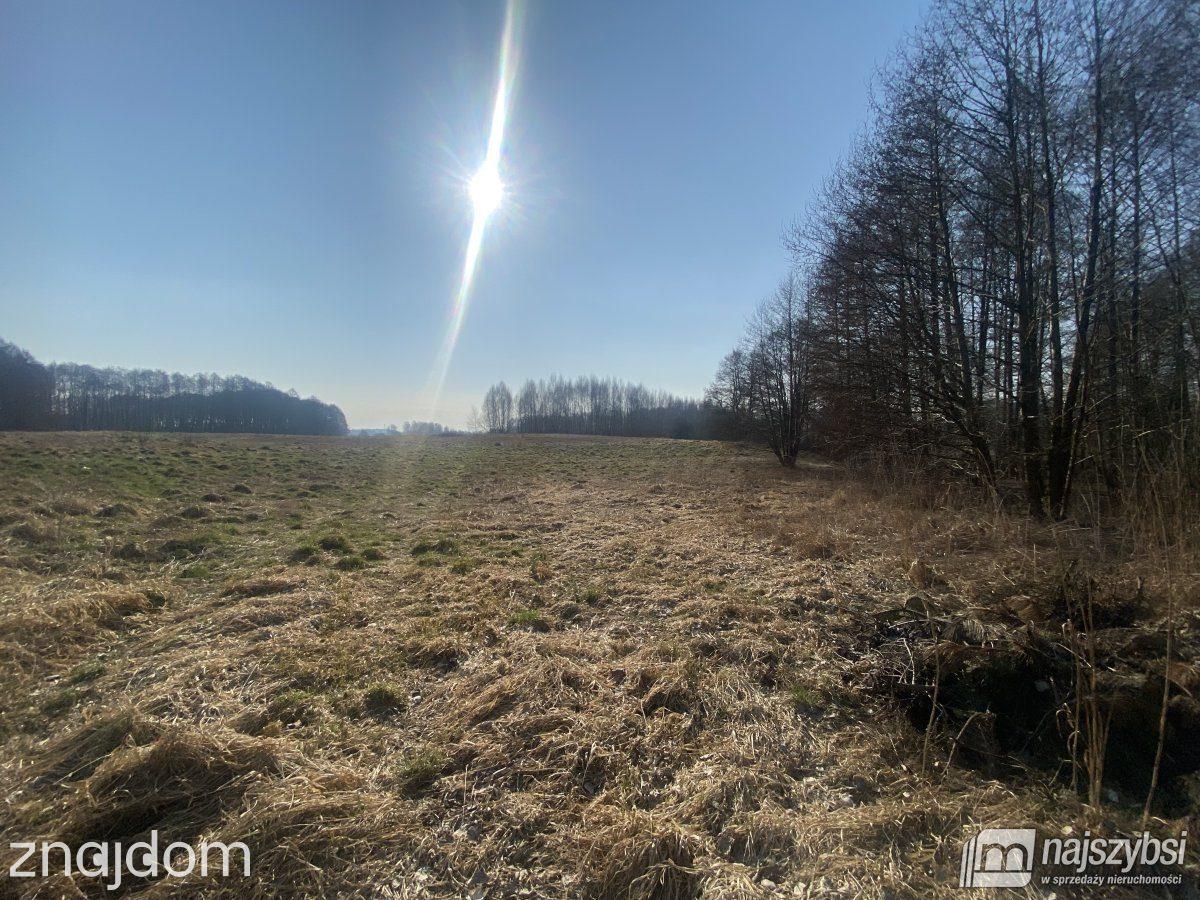 Działka, Nowogard - zdjęcie 6