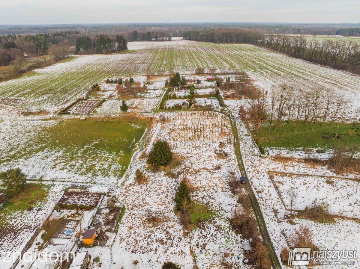 Działka, Łosośnica - zdjęcie 13