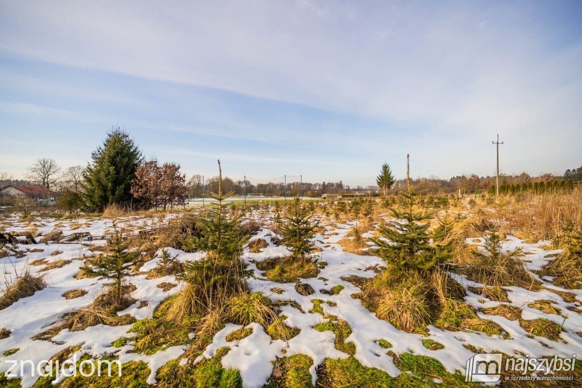 Działka, Łosośnica - zdjęcie 8