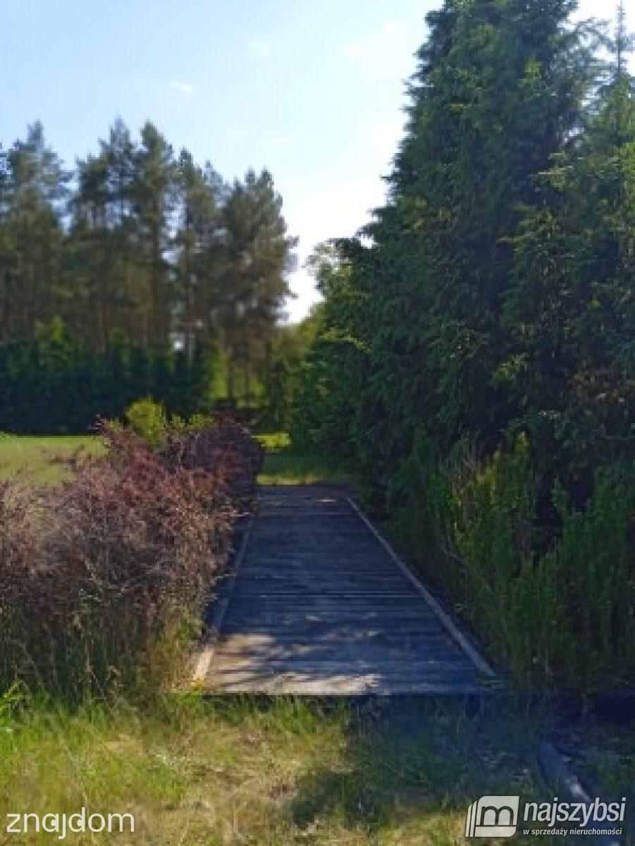 Działka, Krępsko - zdjęcie 25