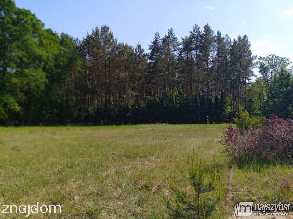 Działka, Krępsko - zdjęcie 27