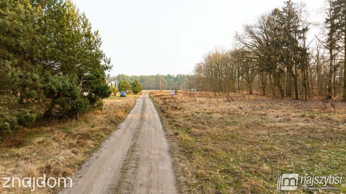 Działka, Rurzyca - zdjęcie 3