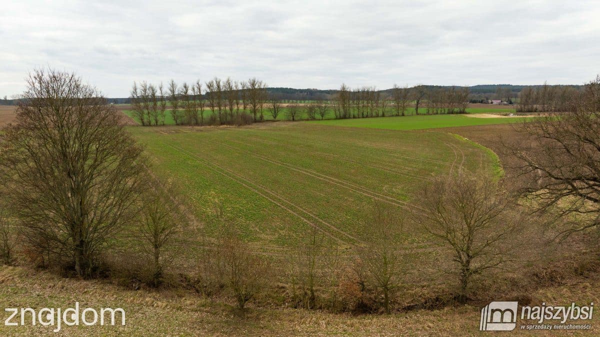 Działka, Kołczewo 1 - zdjęcie 10