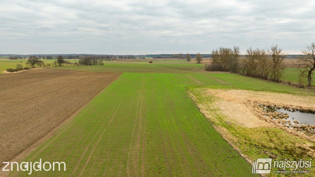 Działka, Kołczewo 1 - zdjęcie 2
