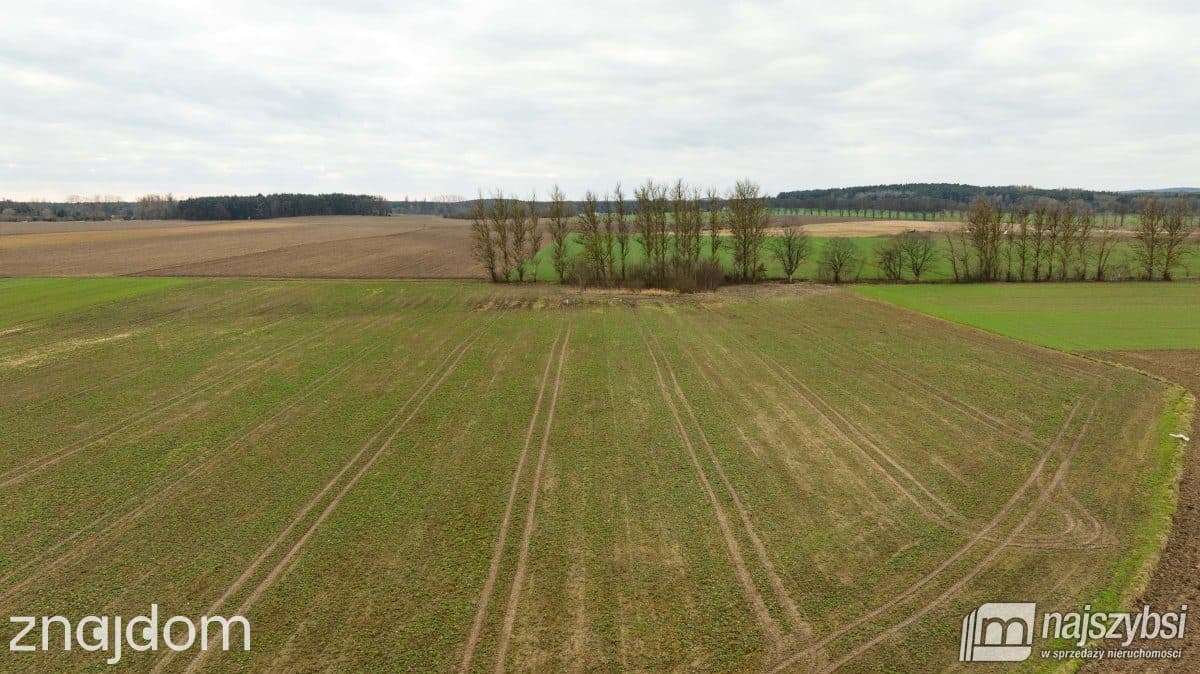 Działka, Kołczewo 1 - zdjęcie 3